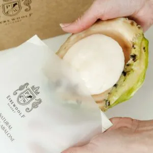 Wild SA IQF Greenlip Abalone Meat